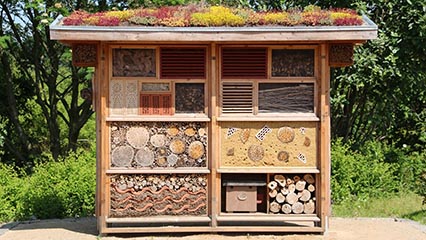 How To Make And Build A Bug Hotel, Insect Hotel – Easy to follow guide