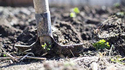 Understanding Garden Soil, All You Need To Know